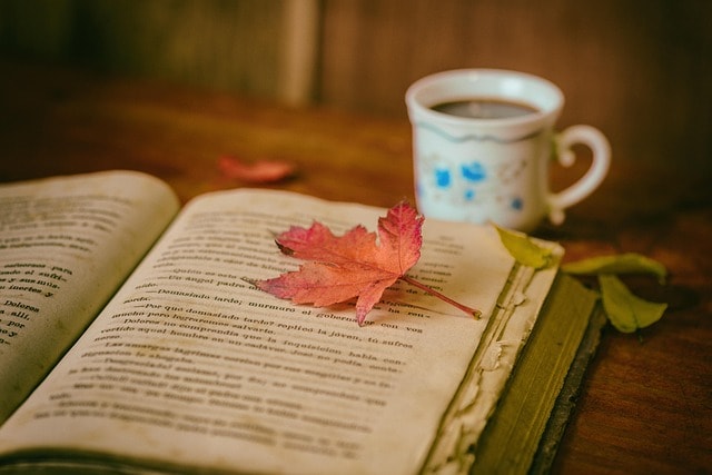 leaves, coffee, cup, still life, book, reading, leisure, hobby, read, coffee cup, open book, bookworm, coffee, book, book, book, book, nature, book, reading, reading, reading
